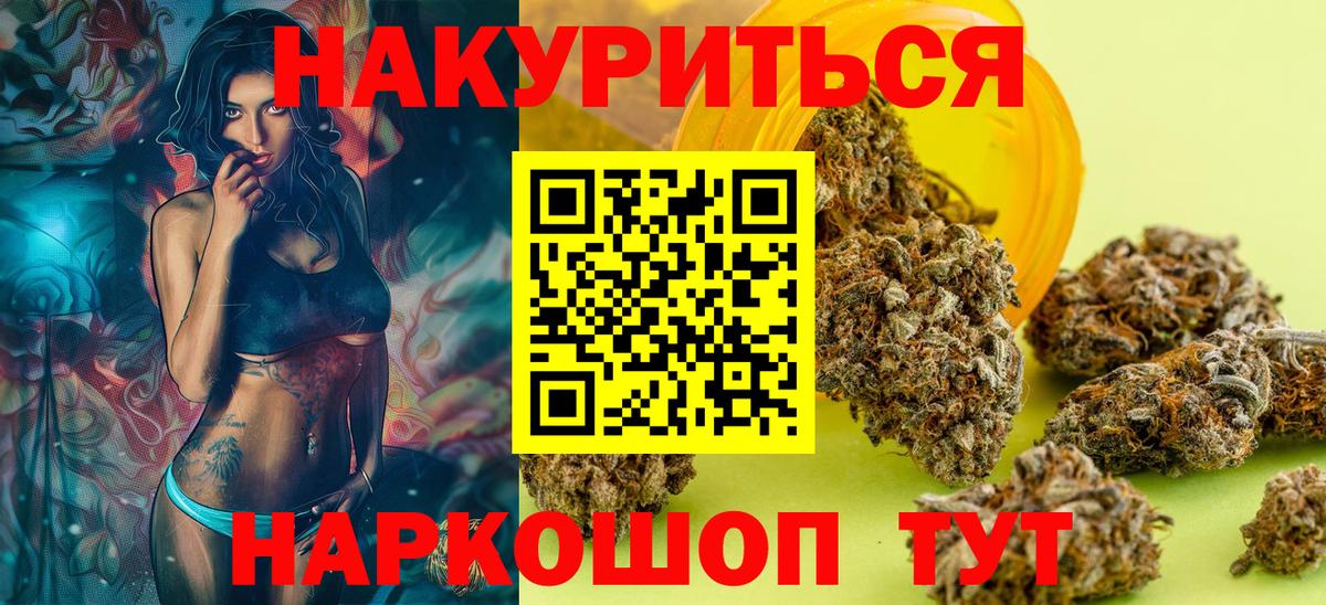 Канабис конопля Кашира